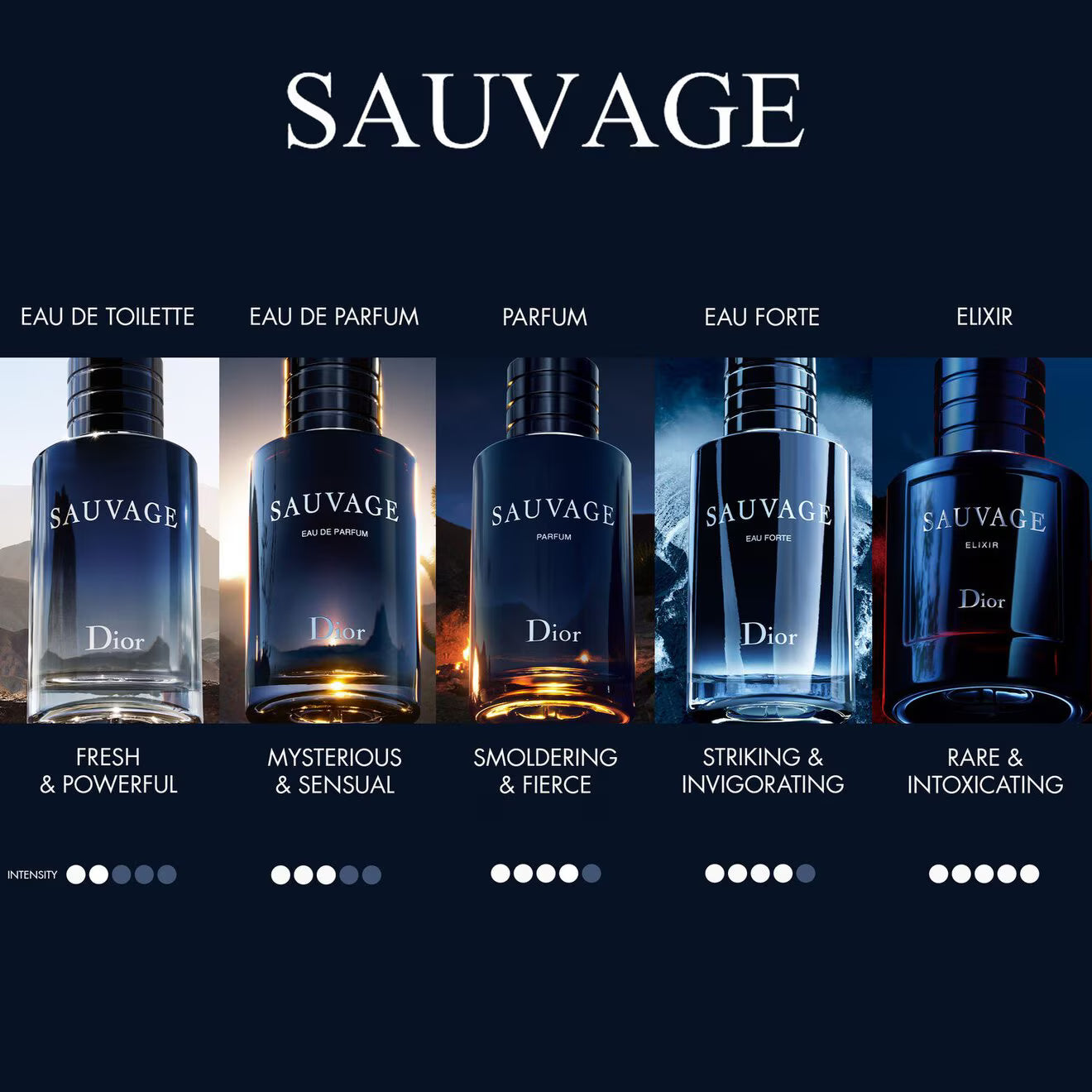 Sauvage Elixir