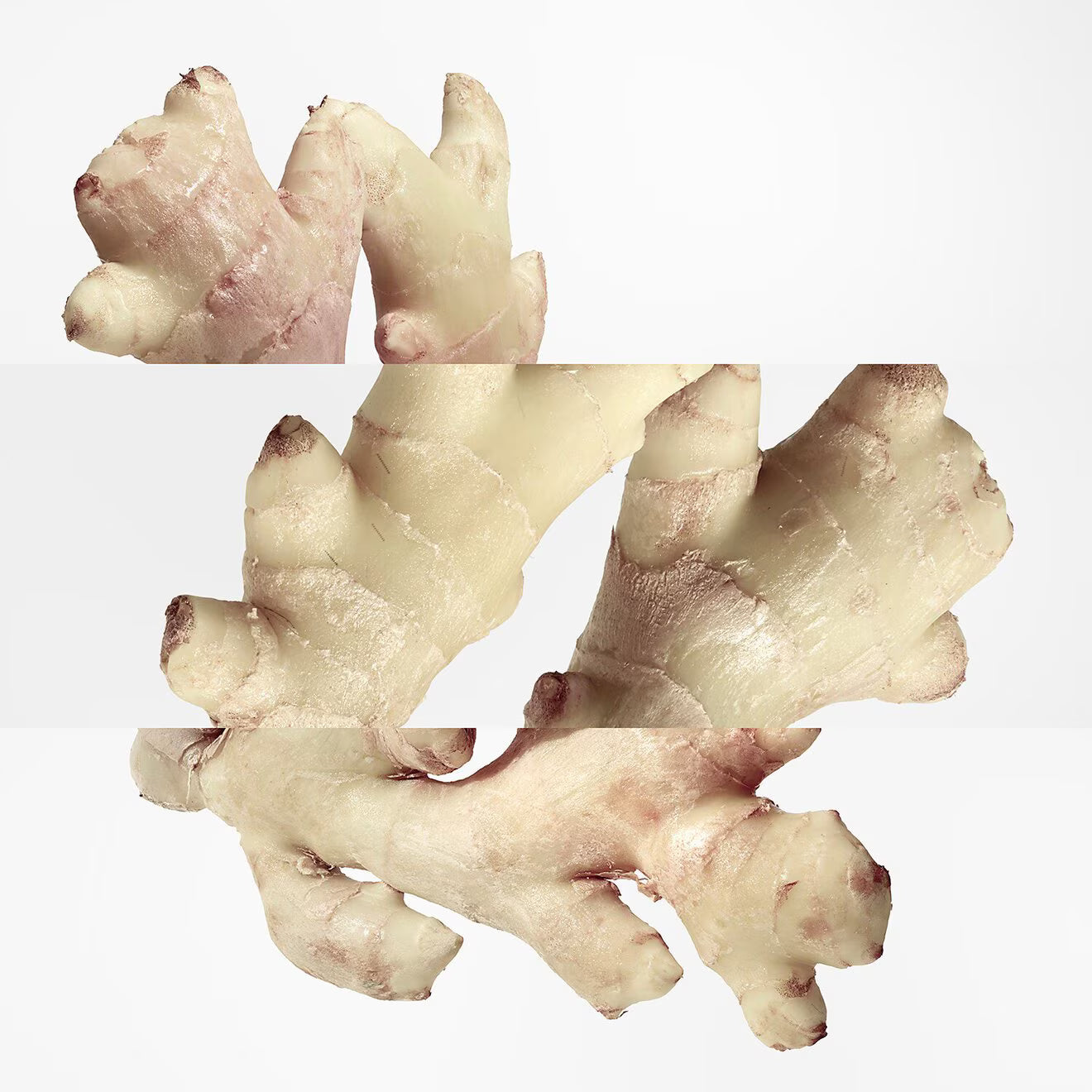 Hermès Twilly d’Hermès