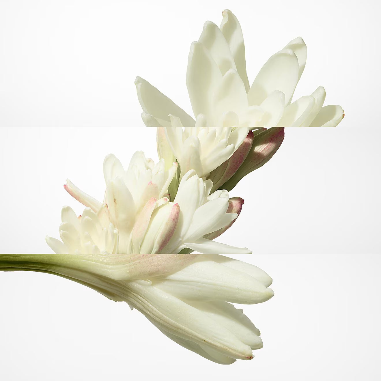 Hermès Twilly d’Hermès