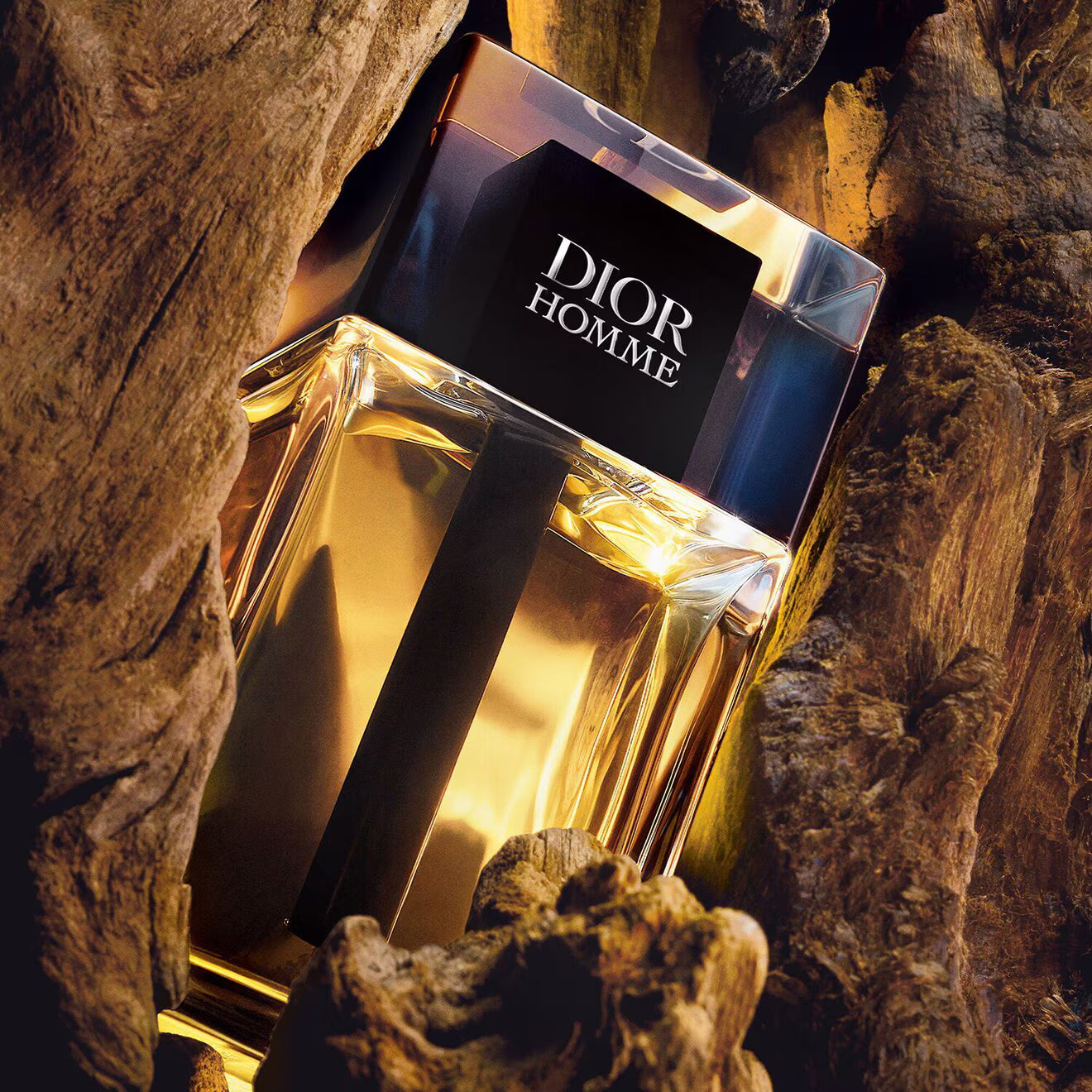Dior homme eau de toilette